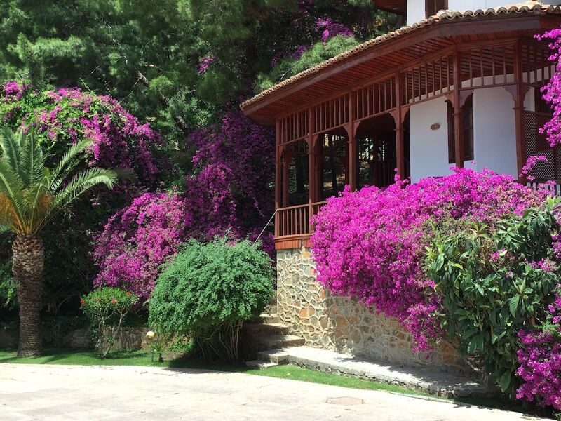 Club & Hotel Letoonia