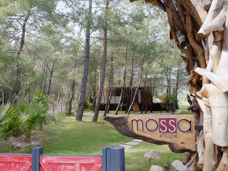 Mossa Afkule