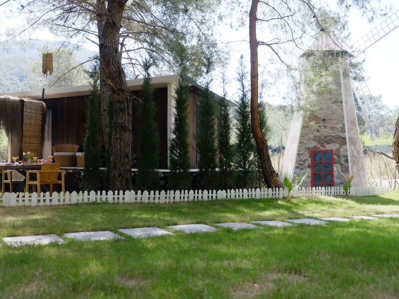 Mossa Afkule