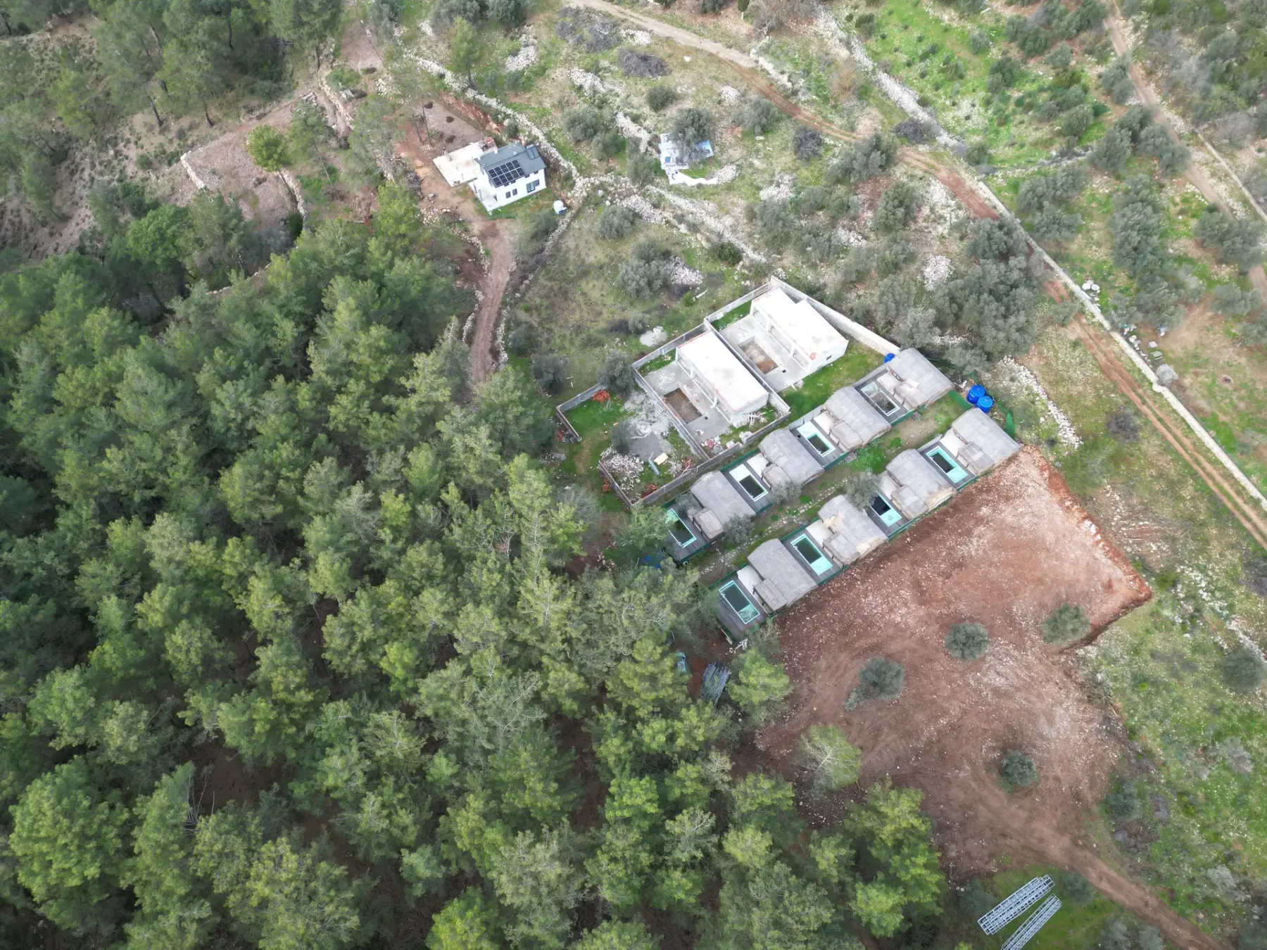 Dream of Forest Bungalov fotoğrafı 5
