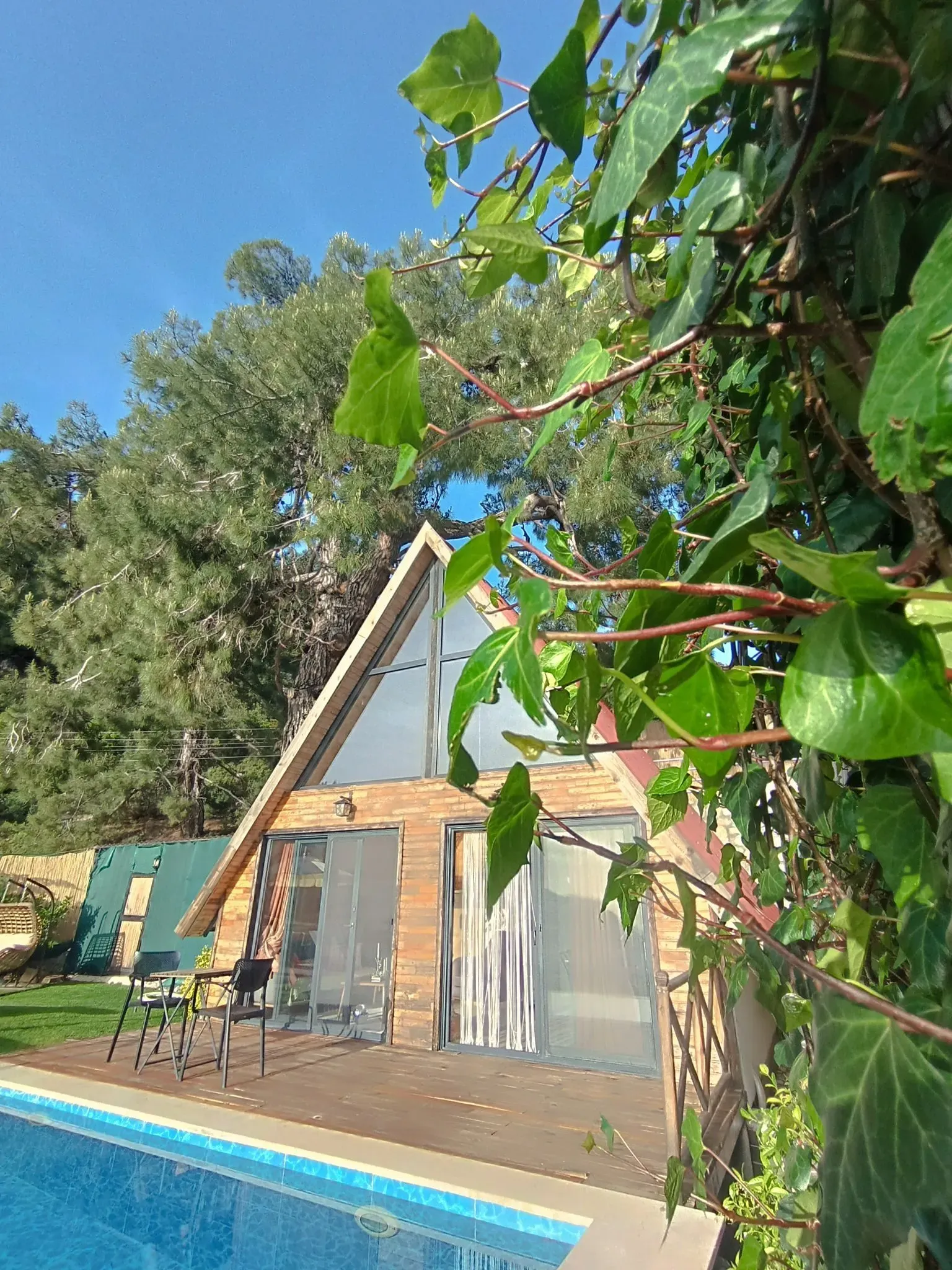 Kelebekler Pine Bungalov fotoğrafı 5