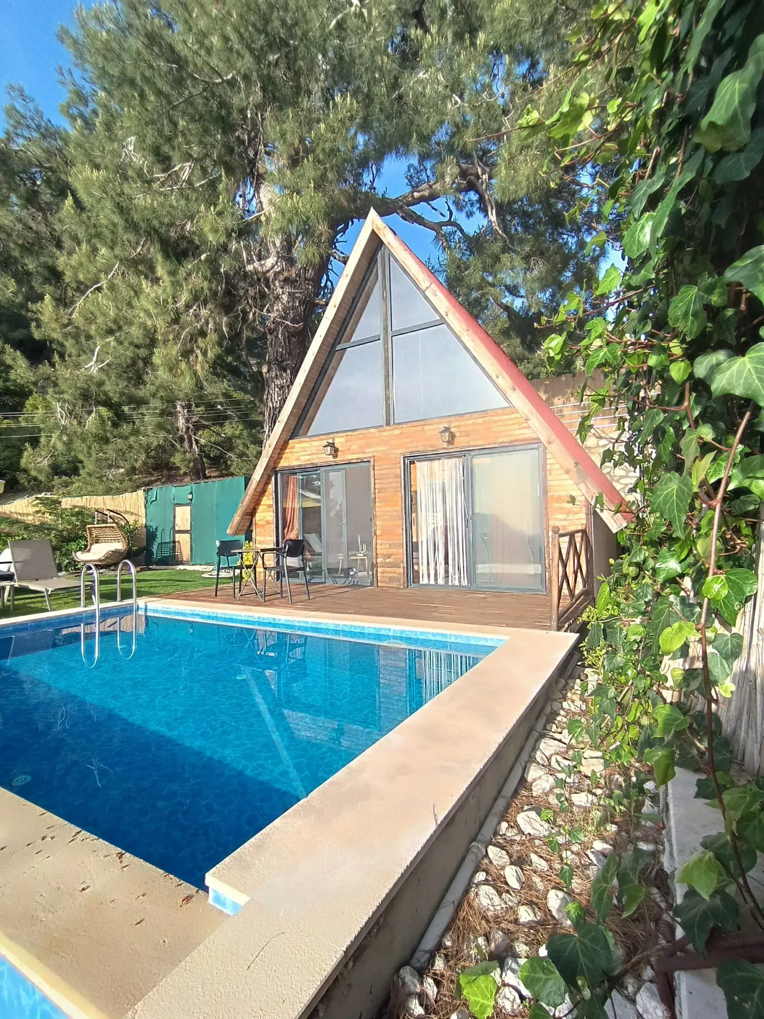 Kelebekler Pine Bungalov fotoğrafı 8