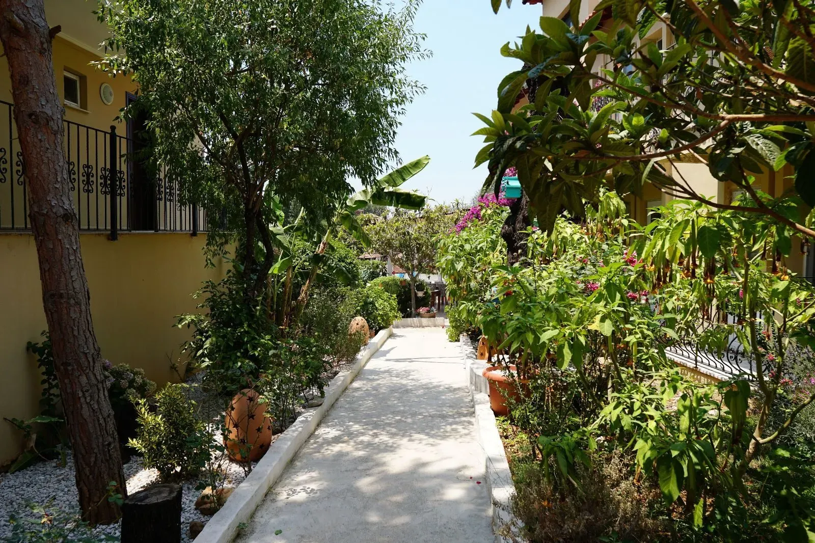 Tunacan Hotel fotoğrafı 3