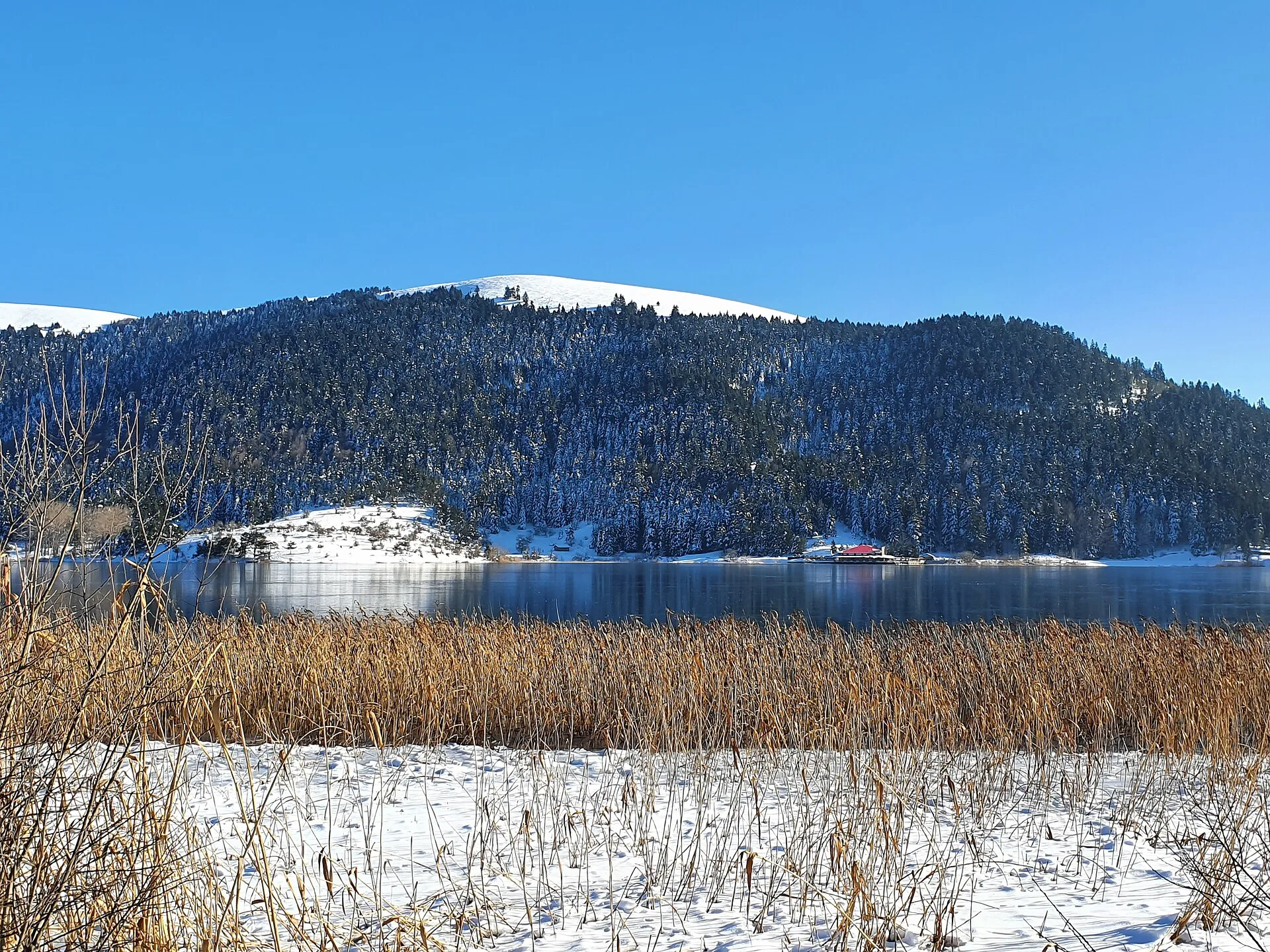 Abant Gölü ve çevresindeki ormanlar, Bolu